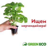 Требуется мерчендайзер