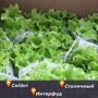 Расширяем карту продаж
